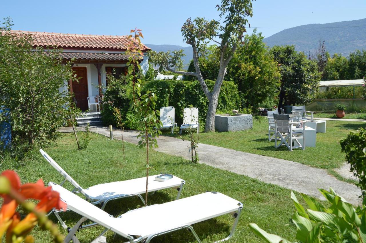 Mr. Greek Villa Petra  Zewnętrze zdjęcie